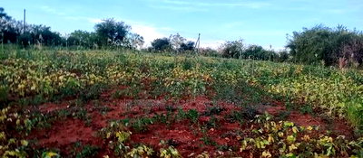 Embu County,Seven Folks 6.4arces Along Tarmac - Image 2