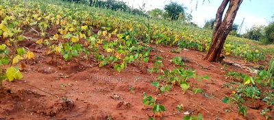 Embu County,Seven Folks 6.4arces Along Tarmac - Image 9