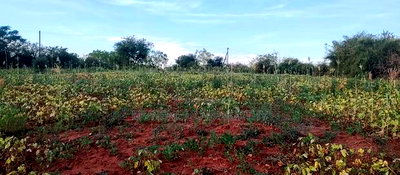 Embu County,Seven Folks 6.4arces Along Tarmac - Image 5