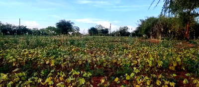 Embu County,Seven Folks 6.4arces Along Tarmac - Image 8