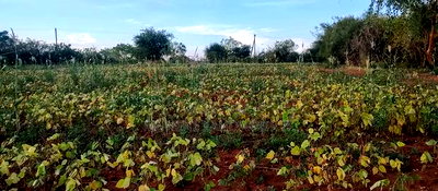 Embu County,Seven Folks 6.4arces Along Tarmac - Image 1