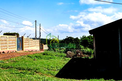 50x100 Gikambura Plot for Sale - Image 1