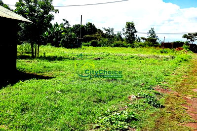 50x100 Gikambura Plot for Sale - Image 4