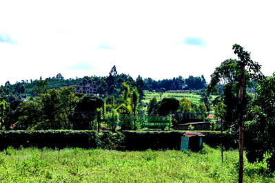50x100 Gikambura Plot for Sale - Image 3