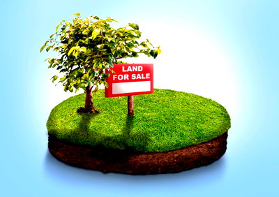 1/8 Acre Garden Plot in South C
