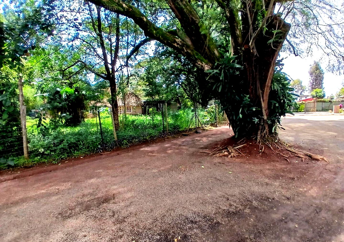 Garden Office Space for Rent at KSh 35K