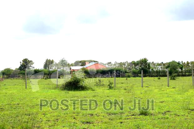 Cheapest Plots in Juja Farm - CK