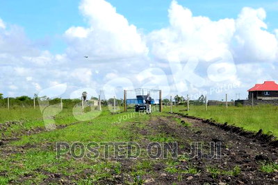 Cheapest Plots in Juja Farm - CK - Image 3