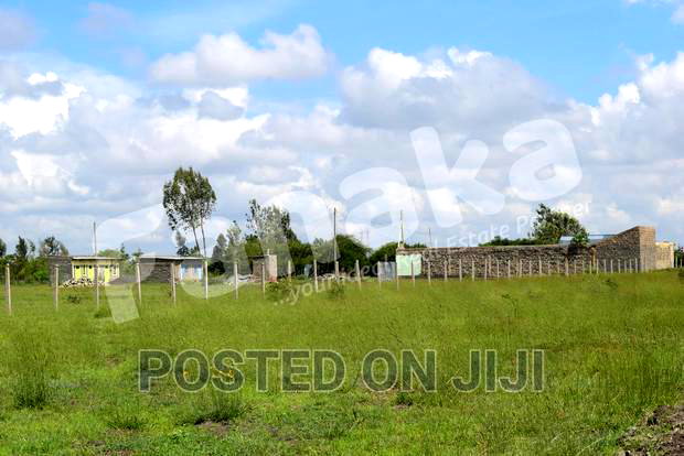 Cheapest Plots in Juja Farm - CK
