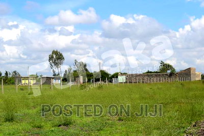 Cheapest Plots in Juja Farm - CK - Image 2