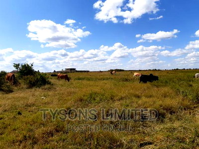 50/100 Plots for Sale in Juja - Image 2