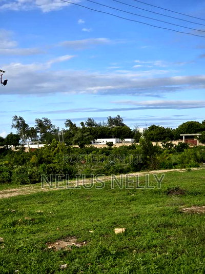 2nd Row Beach Plots 1/4 Acre Bofa Kilifi - Image 2