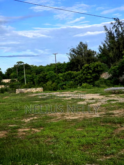2nd Row Beach Plots 1/4 Acre Bofa Kilifi - Image 5