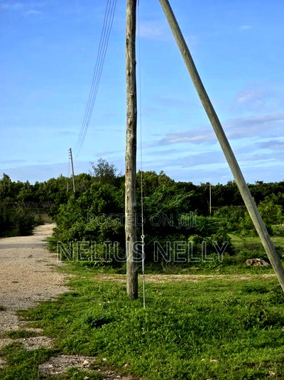 2nd Row Beach Plots 1/4 Acre Bofa Kilifi - Image 4
