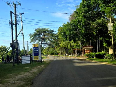 2nd Row Beach Plots 1/4 Acre Bofa Kilifi - Image 1