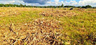 Plot for Sale in Kapseret Lemook Centre in Eldoret - Image 6