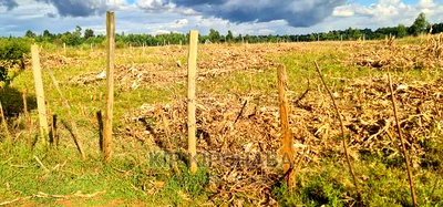 Plot for Sale in Kapseret Lemook Centre in Eldoret - Image 9