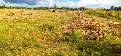 Plot for Sale in Kapseret Lemook Centre in Eldoret - Image 7