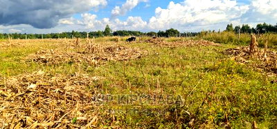 Plot for Sale in Kapseret Lemook Centre in Eldoret - Image 5