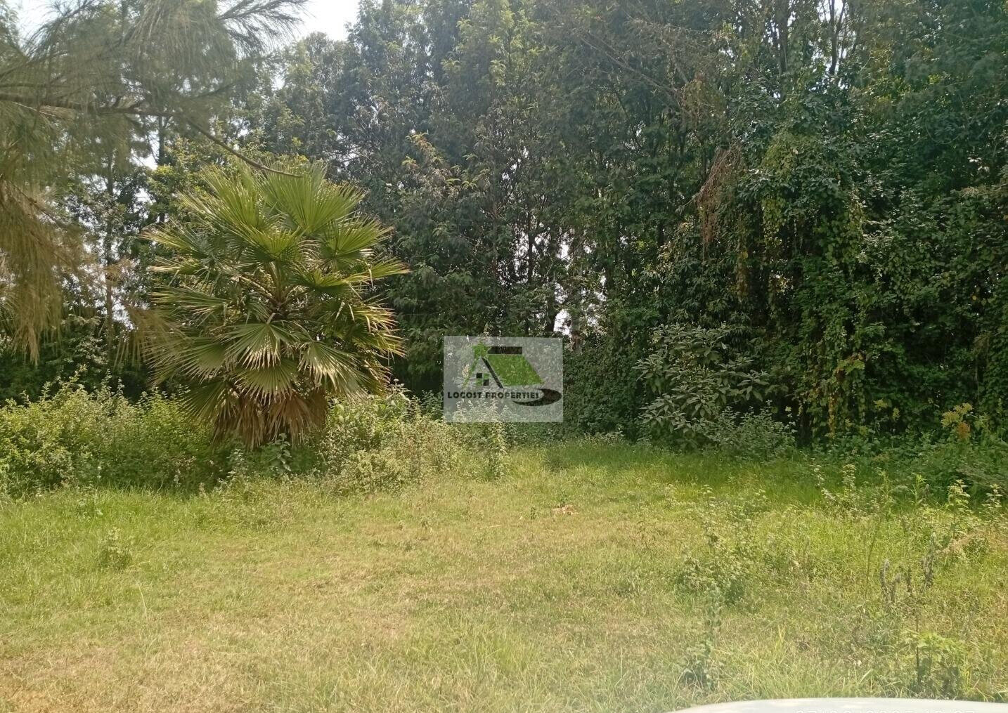 Quarter Acre Plot in Thogoto