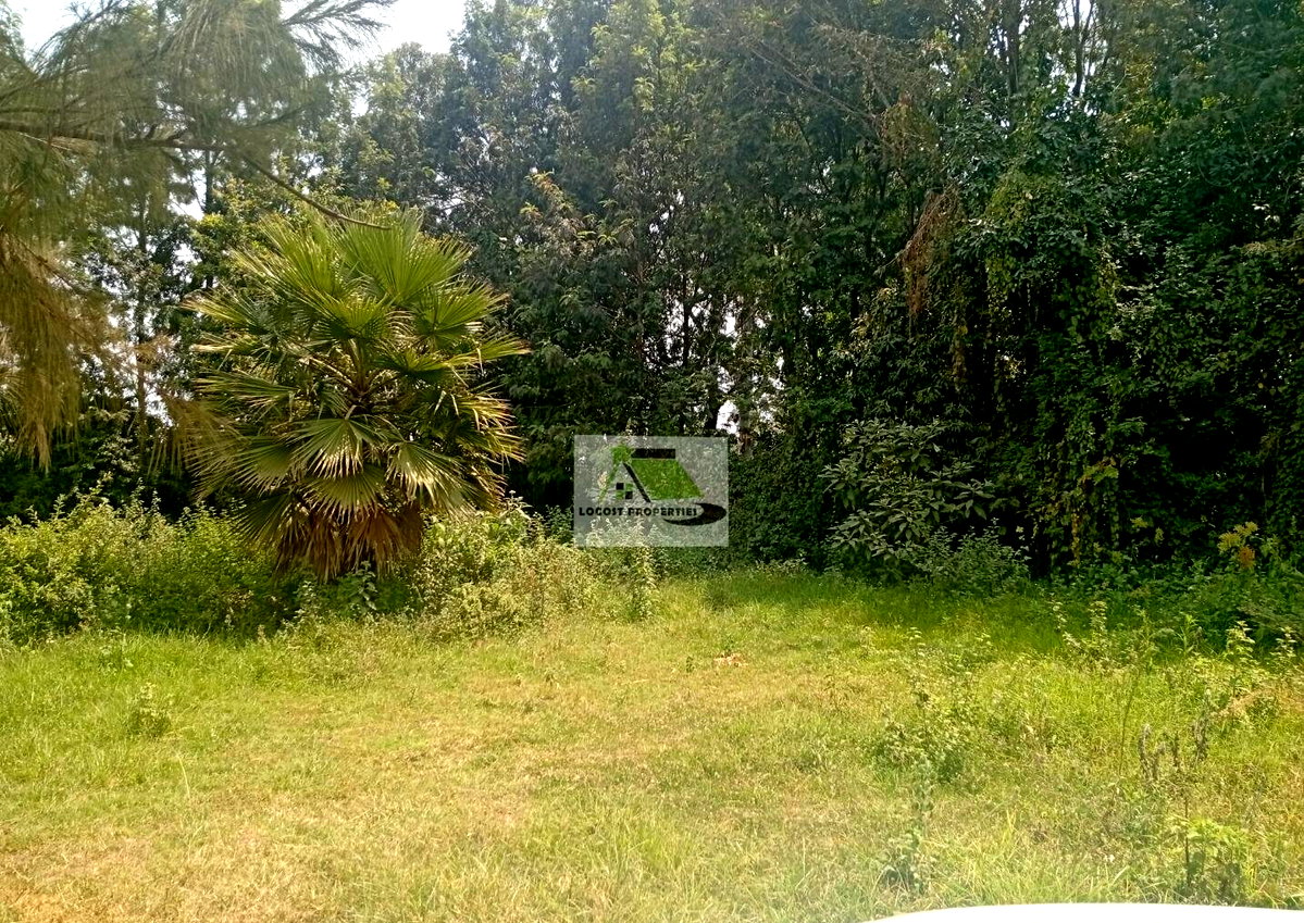 Quarter Acre Plot in Thogoto