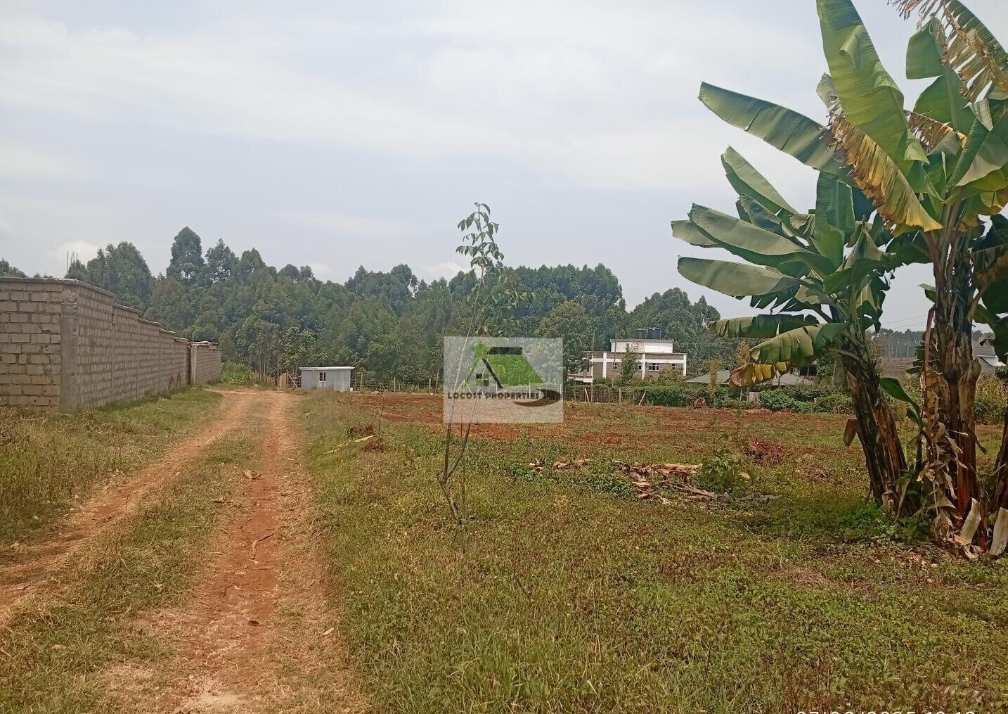 Quarter Acre Plot in Thogoto