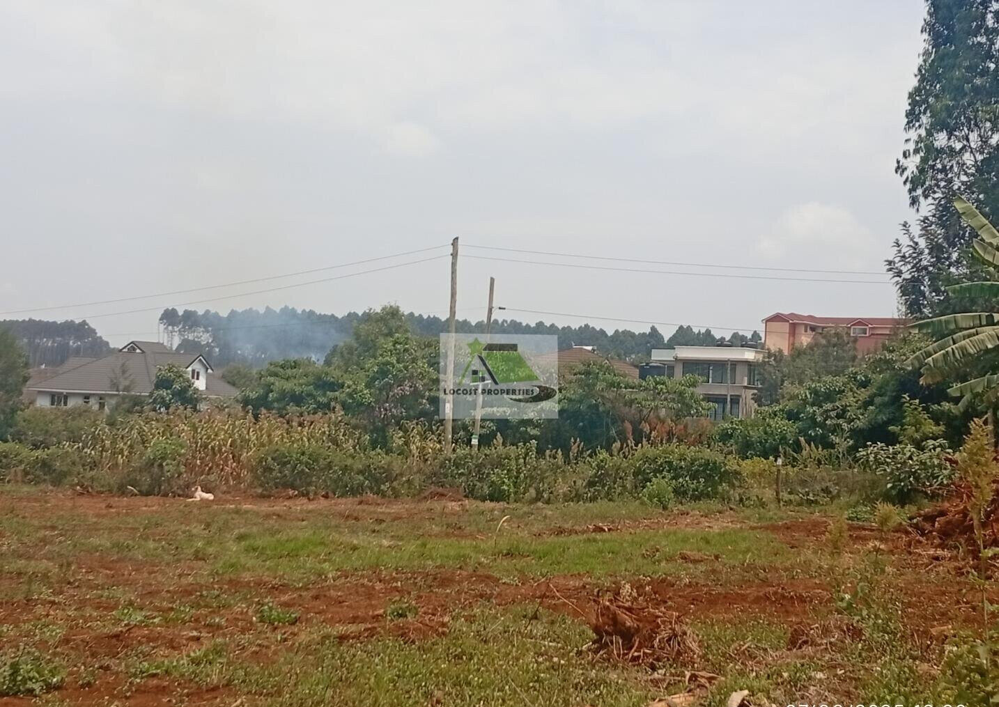Quarter Acre Plot in Thogoto