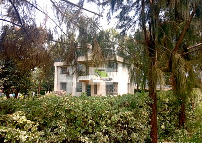 Quarter Acre Plot in Thogoto