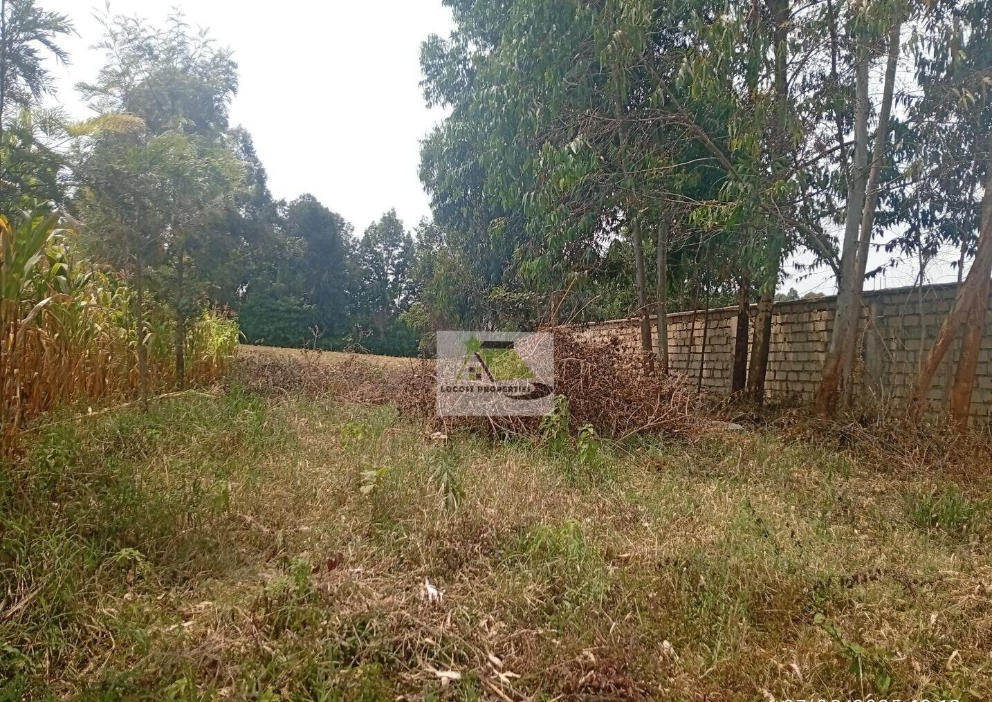 Quarter Acre Plot in Thogoto