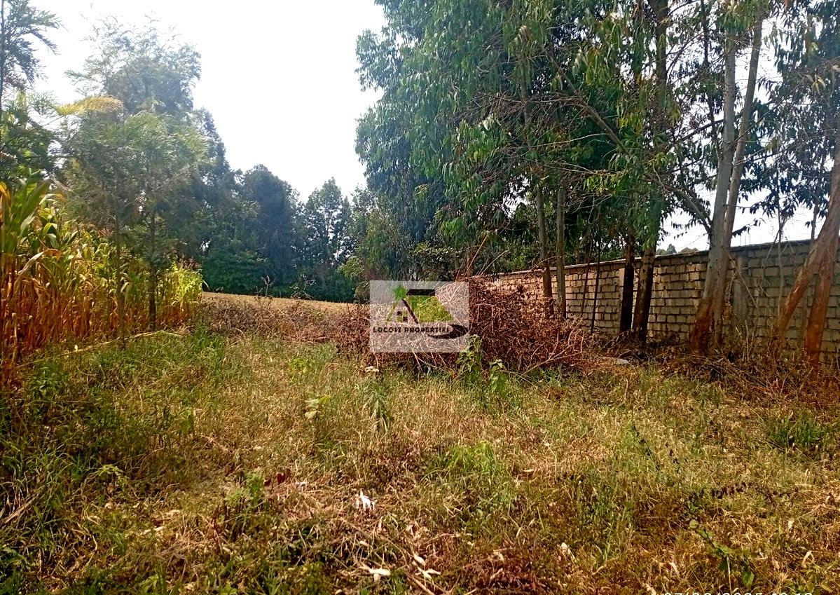 Quarter Acre Plot in Thogoto