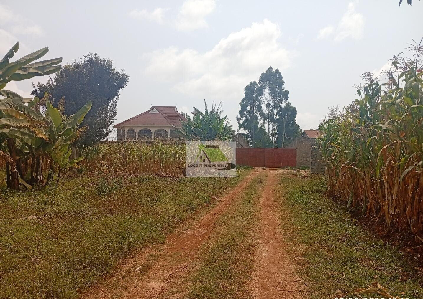 Quarter Acre Plot in Thogoto