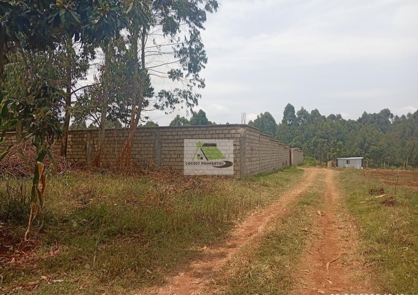 Quarter Acre Plot in Thogoto