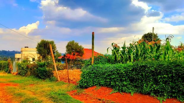 Kikuyu Kerwa Prime Plots