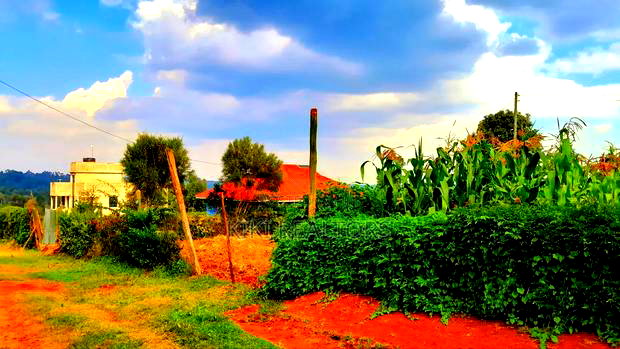 Kikuyu Kerwa Prime Plots