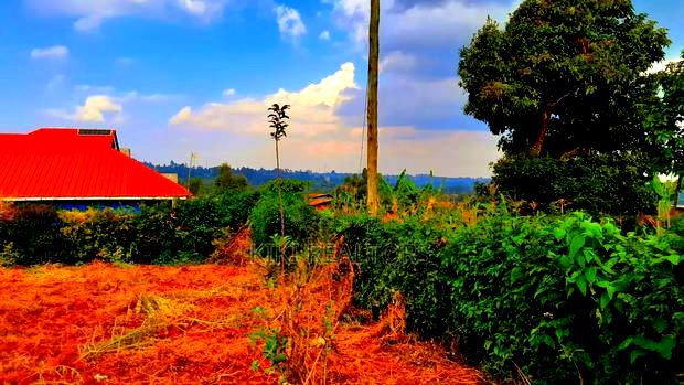 Kikuyu Kerwa Prime Plots