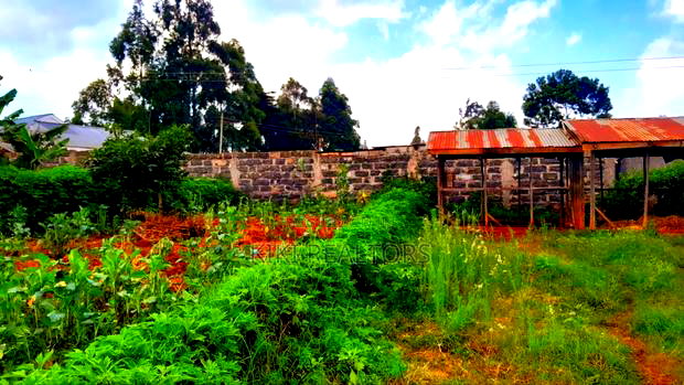 Kikuyu Kerwa Prime Plots