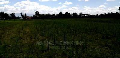 1/8 Acre Plot for Sale in Sobea, Nakuru - Image 4