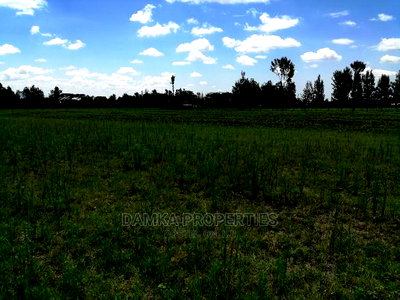 1/8 Acre Plot for Sale in Sobea, Nakuru - Image 6