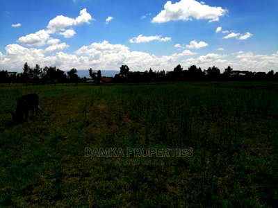 1/8 Acre Plot for Sale in Sobea, Nakuru - Image 5