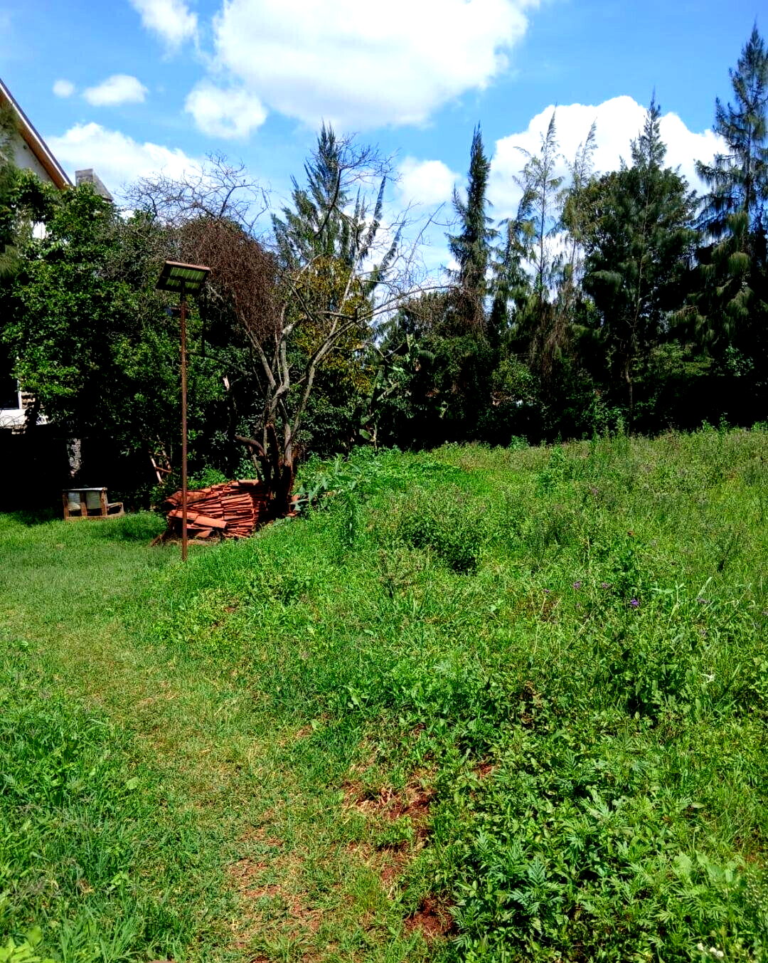 KSh 13.5M Garden Plot