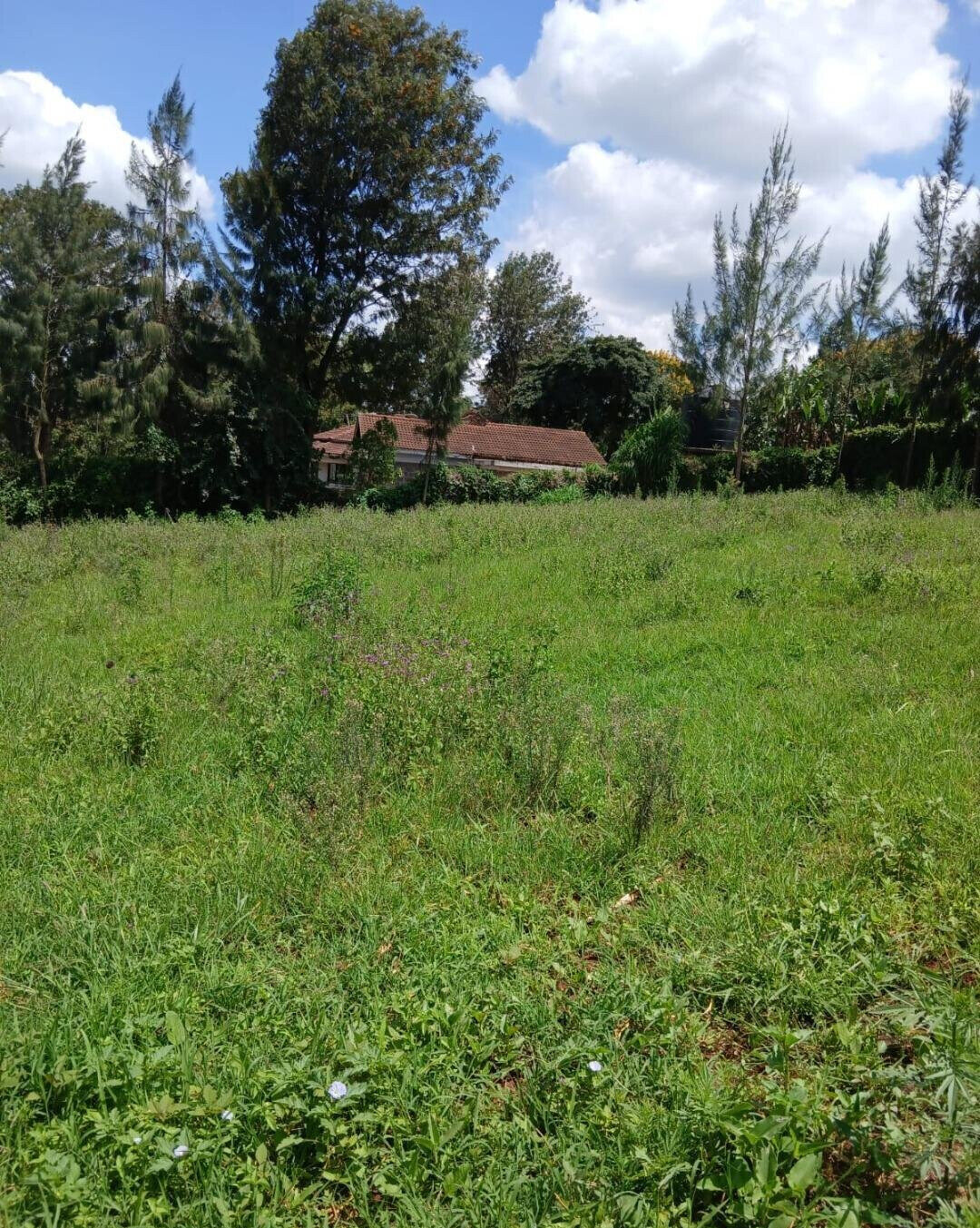 KSh 13.5M Garden Plot