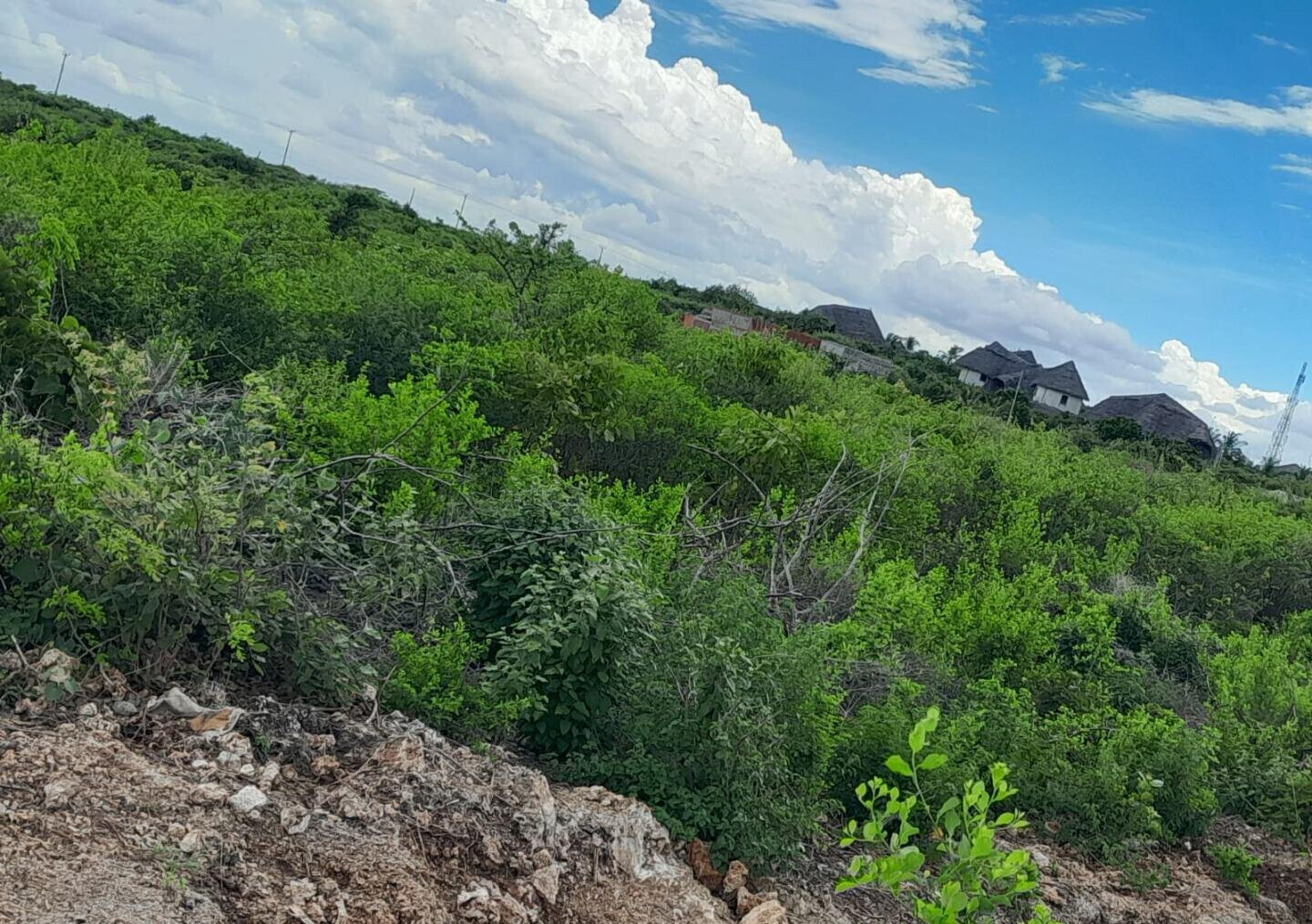 5-Acre Plot with Sea View - Malindi