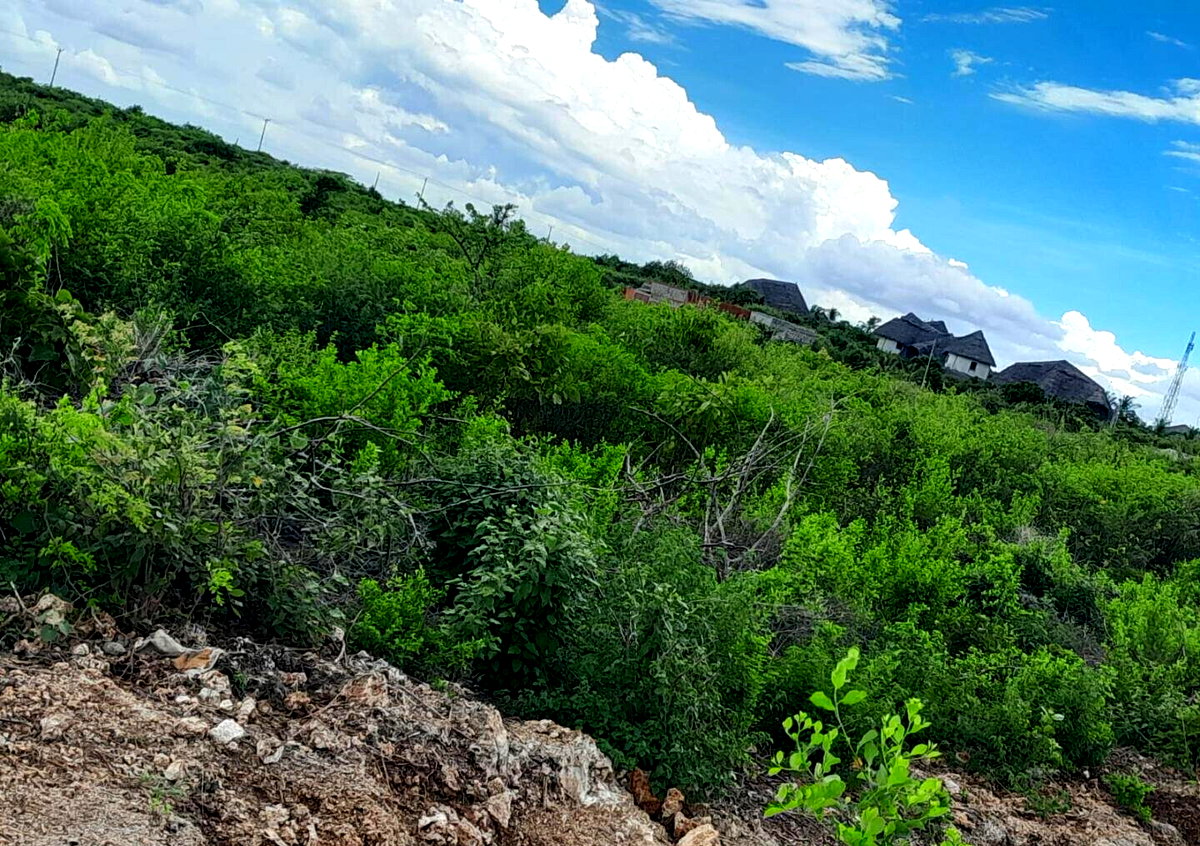 5-Acre Plot with Sea View - Malindi