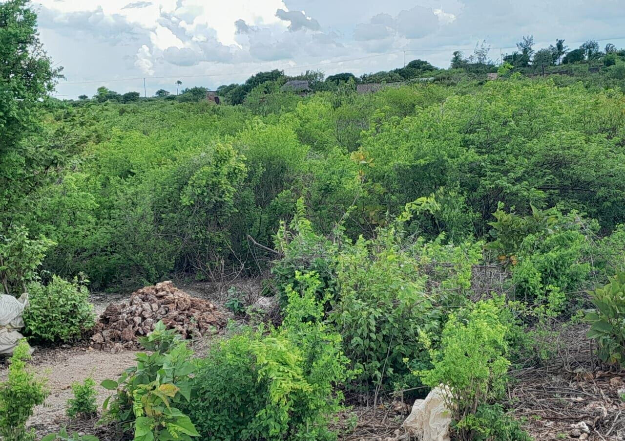 5-Acre Plot with Sea View - Malindi