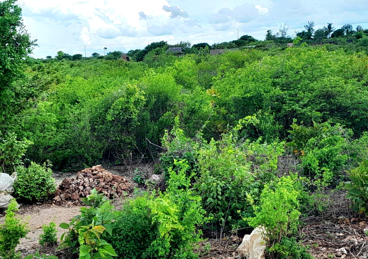 5-Acre Plot with Sea View - Malindi