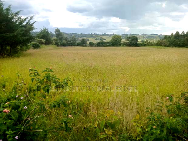 2acres Kapseret Kapteldon Hospital With Title