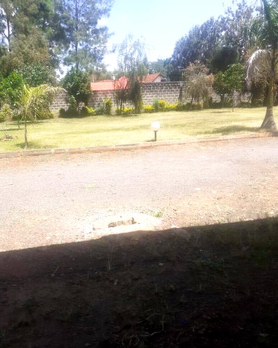Quarter Acre Garden Plot in Thome
