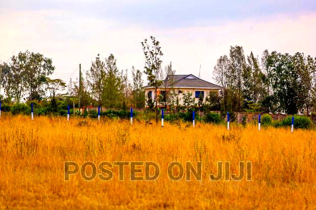 Kamulu Plots Ready to Settle 1.3M.Mw^