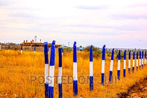 Kamulu Plots Ready to Settle 1.3M.Mw^