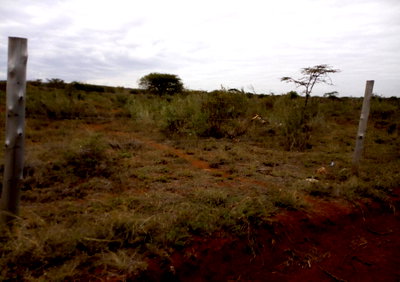 50x100 Plot with Garden at KSh 750K